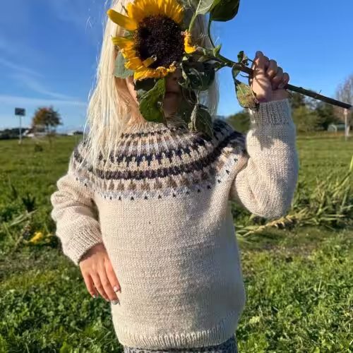 petite knit celeste sweater