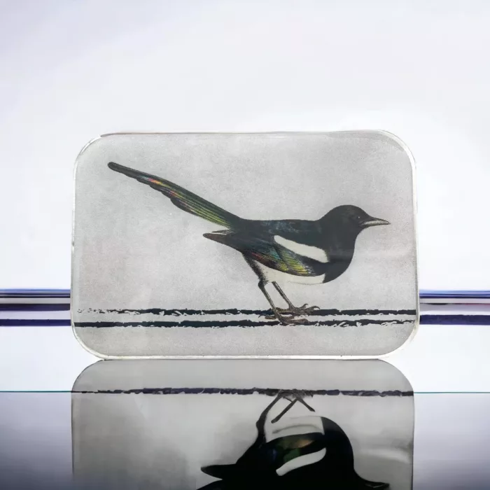 Firefly MAGPIE smáhlutaaskja
