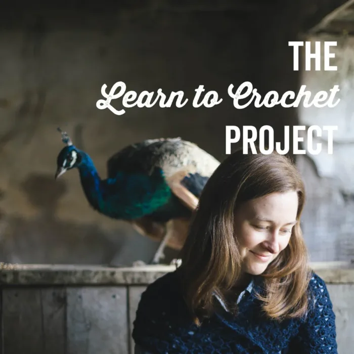 THE LEARN TO CROCHET PROJECT